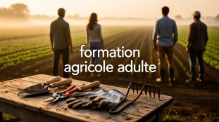 formation agricole adulte champ cultive outils silhouettes