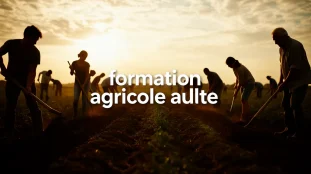 formation agricole adulte champ personnes outils agricoles