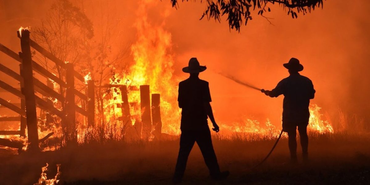 Incendie dans une école d'agriculture