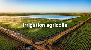 champ agricole irrigue systemes d'arrosage gestion durable