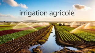 Panorama de champs, systemes irrigation agricole, ciel bleu