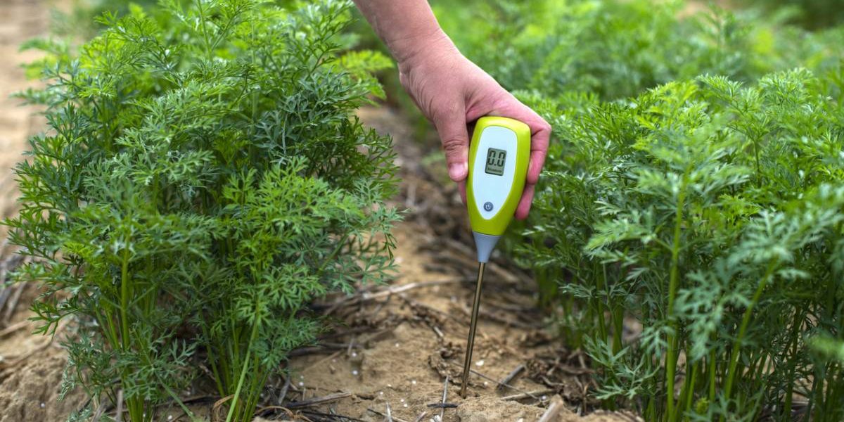 les innovations dans les capteurs de sol focus sur la sonde tensiometrique