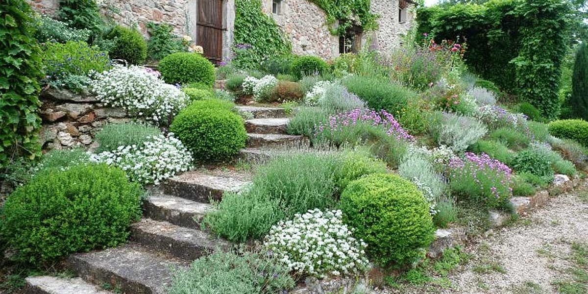 massif d'aromatiques