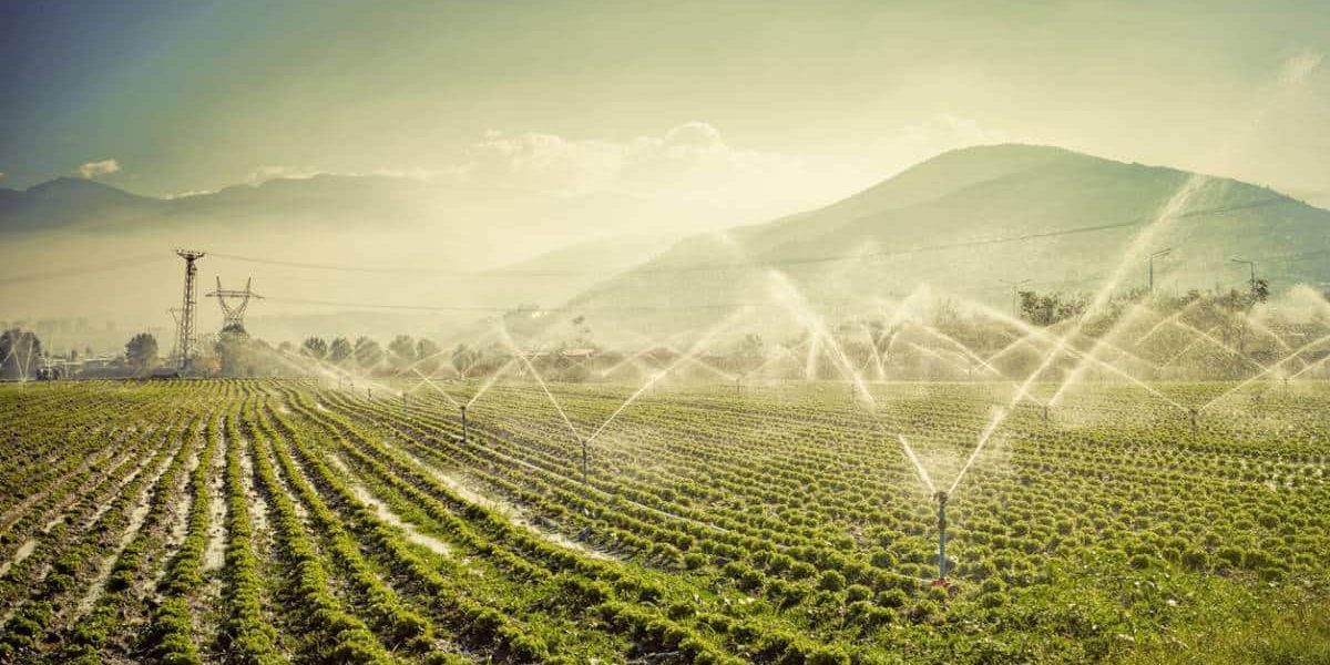 Travailleur agricole utilisant un système d'irrigation performant