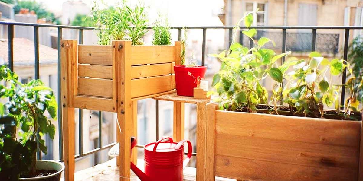 potager balcon
