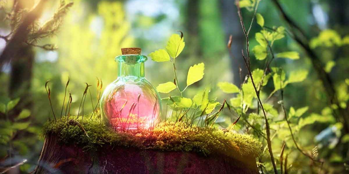 potion magique plantes