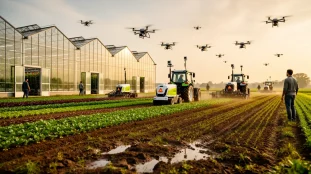 Visuel robotique agricole avec exploitation moderne, machines autonomes et drones