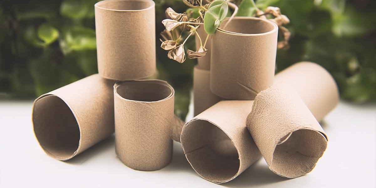 rouleaux papier toilette