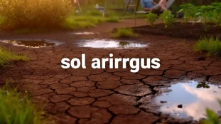 sol argileux jardin terre craquelée flaques eau