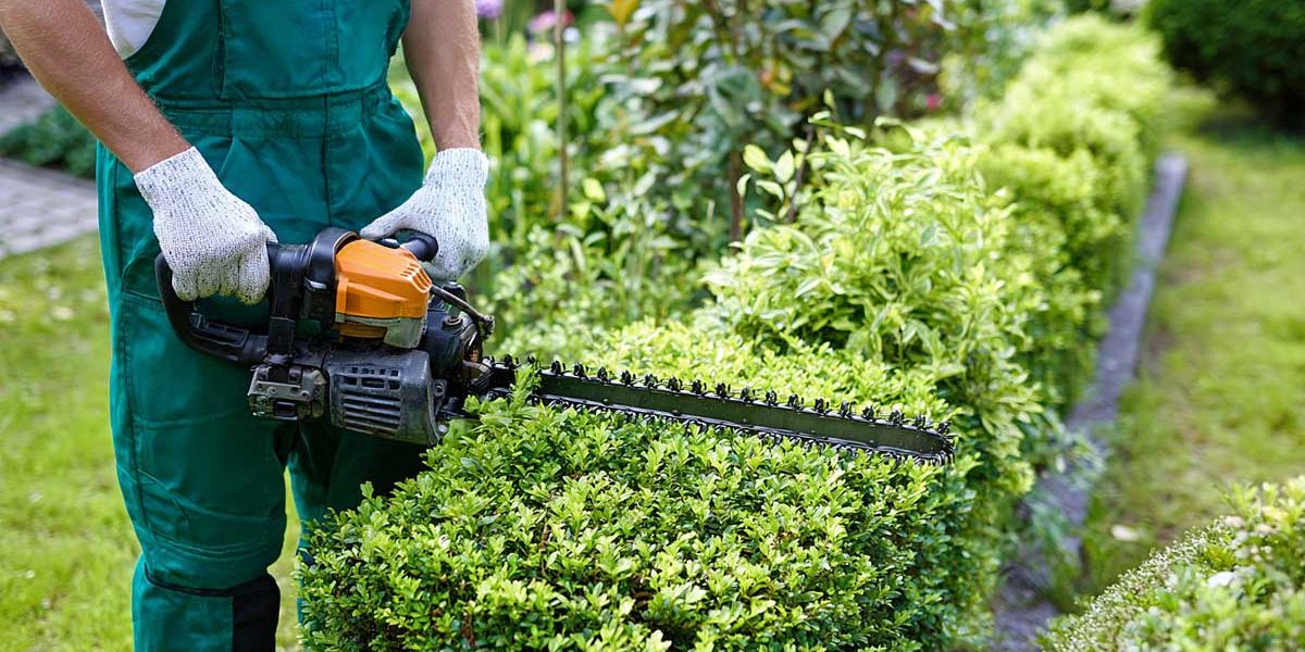 tailler haies en septembre