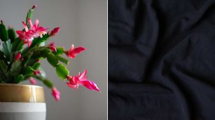 tissu noir cactus noel