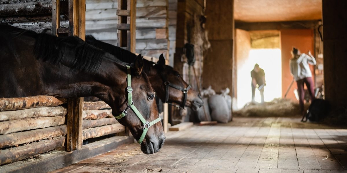 Établissements équestres de l'école d'agriculture